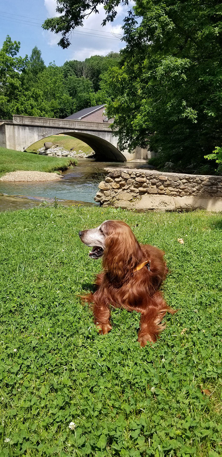 Rusty at Milligan